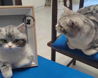 May include: A framed cat portrait and a real cat on a blue chair. The framed artwork features a gray and white cat with green eyes. The real cat is also gray and white, sitting on a blue chair.