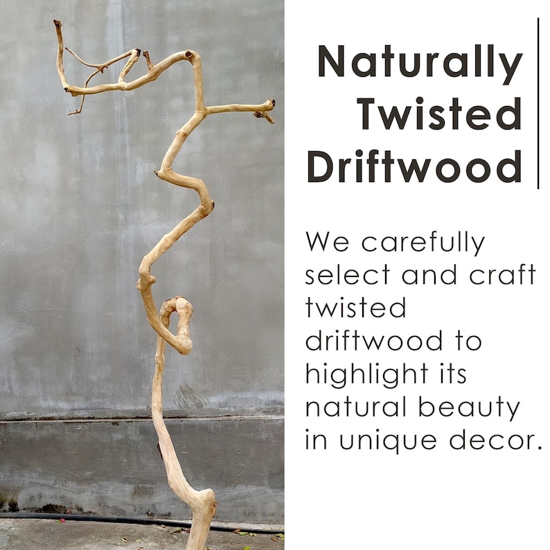 May include: Naturally twisted driftwood, light brown in colour, with a unique, curved shape. Suitable for home decor. The text on the right says "Naturally Twisted Driftwood".