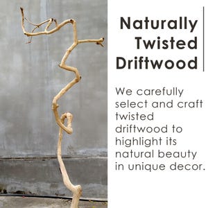 May include: A naturally twisted piece of driftwood with a unique shape. The driftwood is light brown in color and has a rough texture. It is a natural piece of wood that has been weathered by the sea.