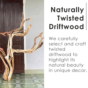 May include: Naturally twisted driftwood sculpture. The light brown wood has a unique, organic shape with multiple branches. The text on the right says "Naturally Twisted Driftwood".
