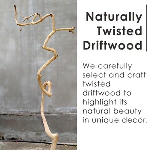 May include: A naturally twisted piece of driftwood with a unique shape. The driftwood is light brown in colour and has a rough texture. It is perfect for adding a natural touch to any home decor.