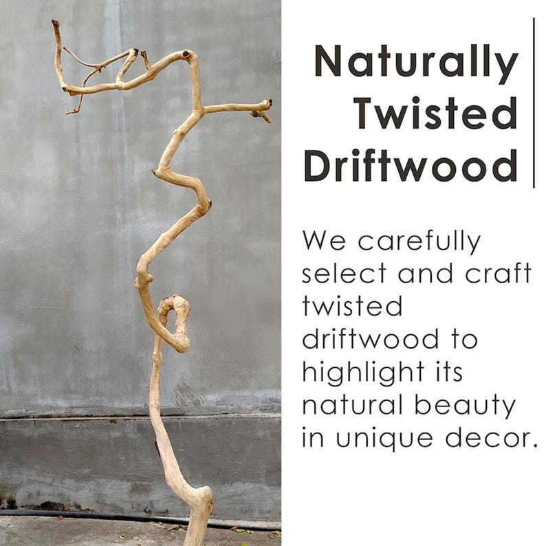 May include: A naturally twisted piece of driftwood with a unique shape. The driftwood is light brown in colour and has a rough texture. It is perfect for adding a natural touch to any home decor.