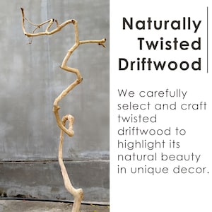 May include: A naturally twisted piece of driftwood with a unique shape. The driftwood is light brown in color and has a rough texture. It is a natural piece of wood that has been weathered by the sea.