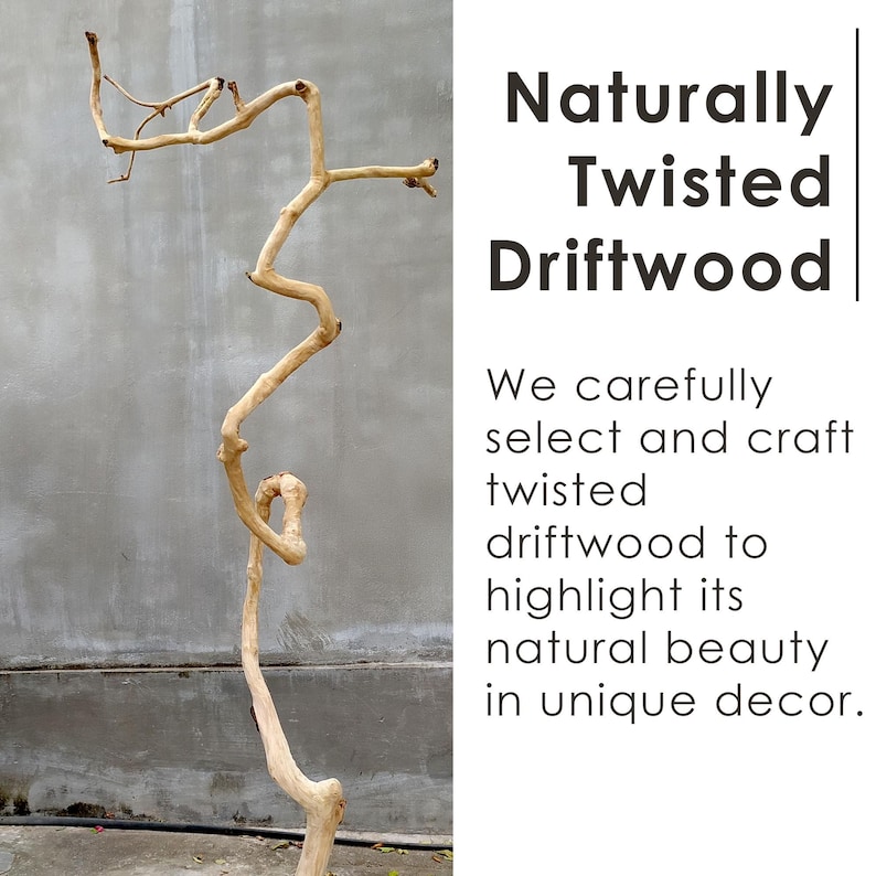 May include: A naturally twisted piece of driftwood with a unique shape. The driftwood is light brown in color and has a rough texture. It is a natural piece of wood that has been weathered by the sea.