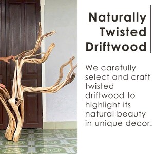 May include: Naturally twisted driftwood sculpture with a light brown color. The driftwood has a unique, organic shape and is displayed against a neutral background. The text on the right says "Naturally Twisted Driftwood".