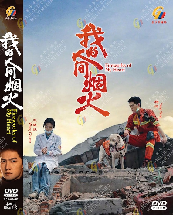 DVD Chinese Drama Fireworks of My Heart 我的人间烟火 Vol.1-40 End