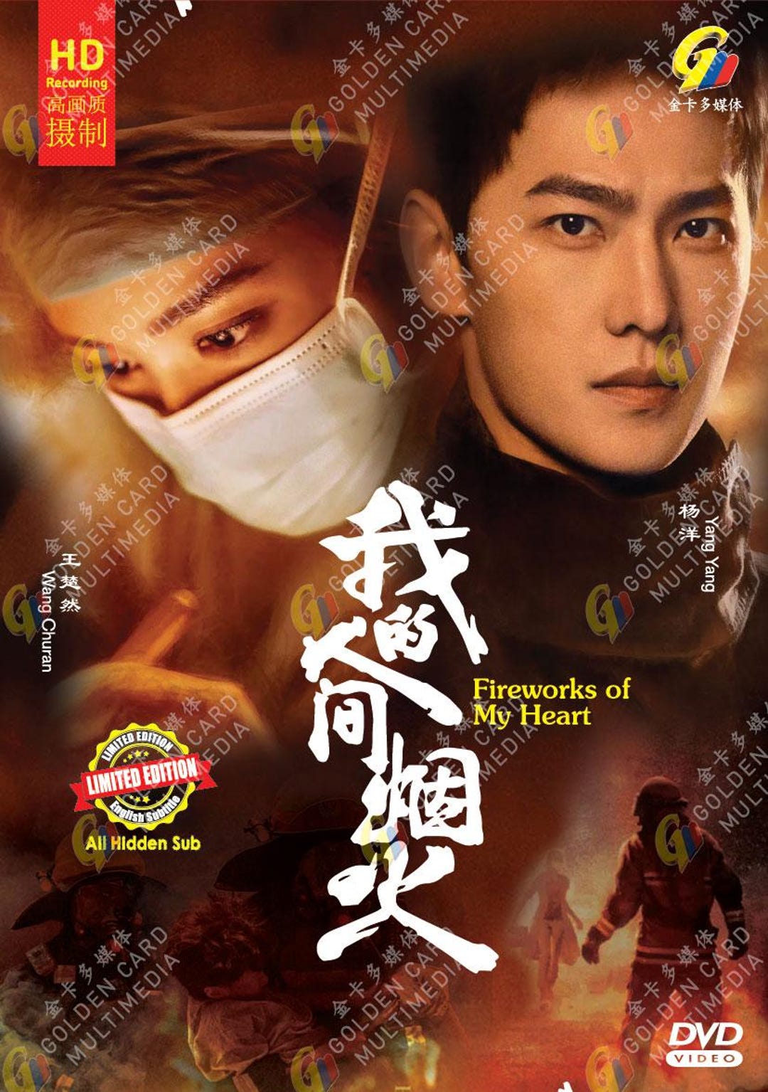 DVD Chinese Drama Fireworks of My Heart 我的人间烟火 Vol.1-40 End