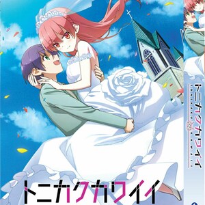 DVD Anime Tonikaku Kawaii 总之就是非常可爱 Vol.1-12 End English Subtitle Region All