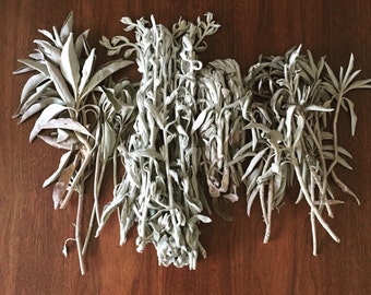 Three Fresh Sage Bundles