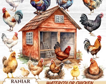 Watercolor Chicken Clipart: Farm Animal PNG Bundle (Digital Download)