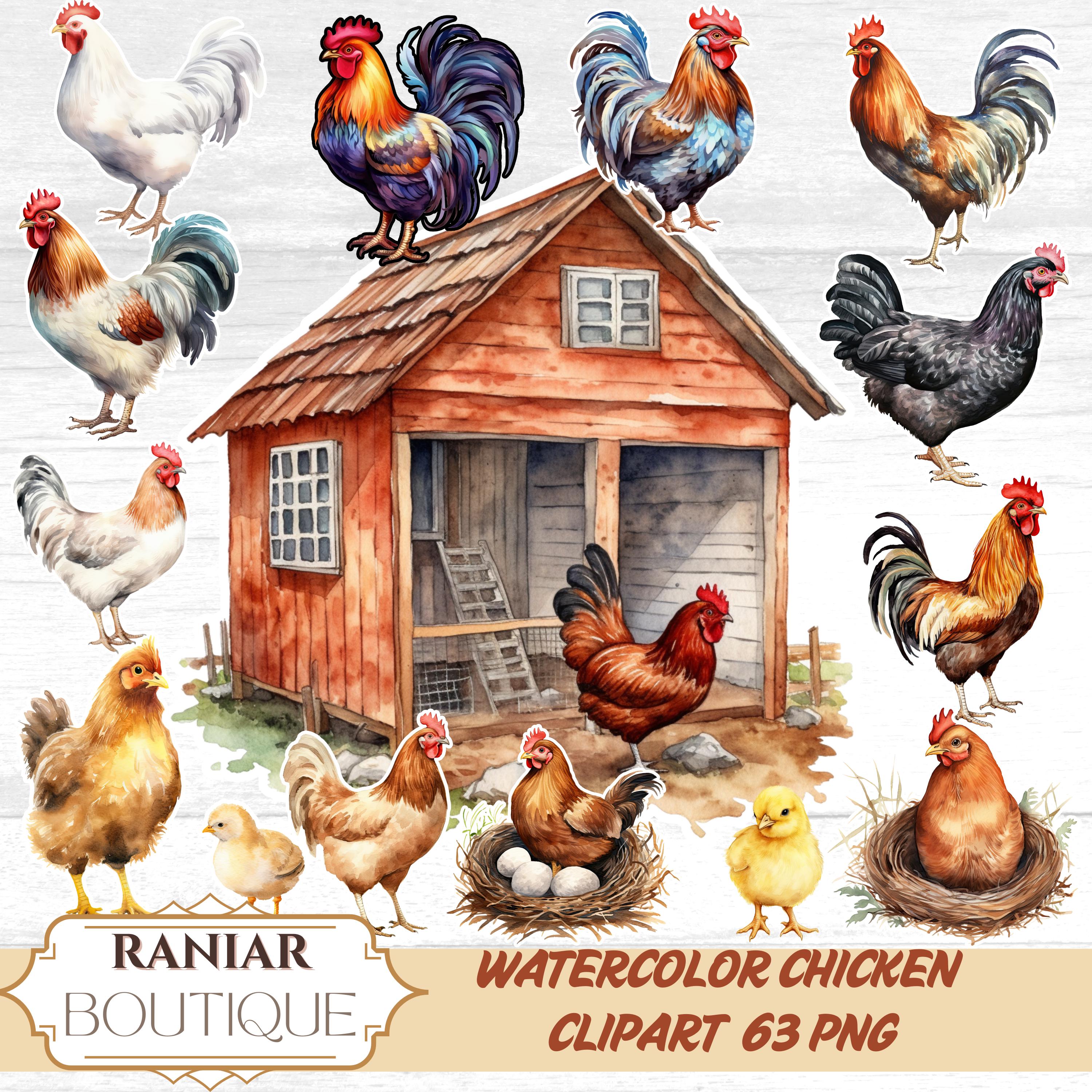 Watercolor Chicken Clipart: Farm Animal PNG Bundle (digital Download ...