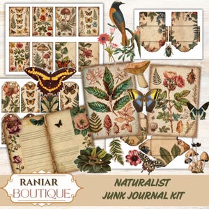 Naturalist junk journal kit ,Vintage Botanical Junk Journal ,Butterfly Print ,insect art print, botanical flower ,old diary, ephemera pack