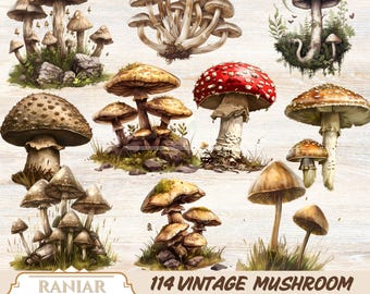 Vintage Mushroom Clipart: 114 Fungi Botanical Illustrations (Digital Download)
