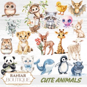 Watercolor Cute Animals Clipart , cute animal clipart , jungle animal clipart, transparent zoo animal clipart,animals clipart mega bundle