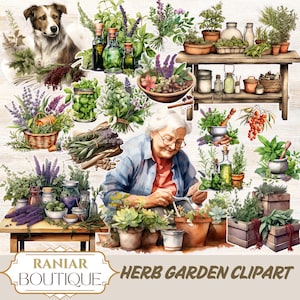 Clipart de jardim de ervas, diário de jardinagem com ervas medicinais, herbalismo vintage, medicina natural, clipart de herbalismo, bruxa verde, planta ful