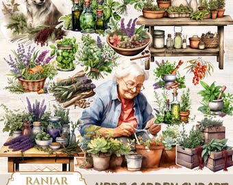 Herb Garden Clipart: Vintage Botanical PNGs (Digital Download)