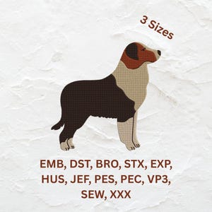 Motif de broderie chien Saint-Bernard : portrait d&#39;animal de compagnie réaliste (téléchargement numérique, 3 tailles)