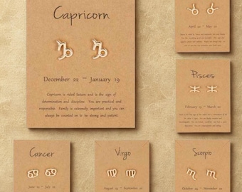 Zodiac Earrings - Constellation Studs, Hypoallergenic Jewelry, Astrology Gift