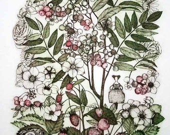 Etching - rowan etching - rowan art - botanical print - printmaking - fine art etching - original etching - original art - 'Rowan II'