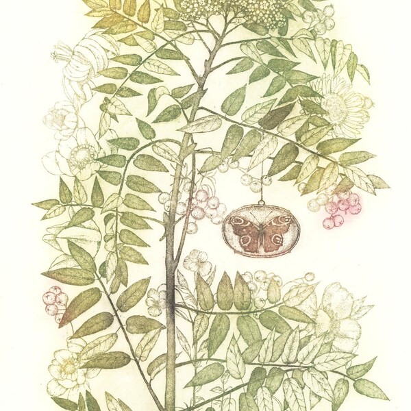 Etching - rowan etching - rowan art - botanical print - printmaking - fine art etching - original etching - original art - 'Rowan III'