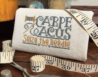 Counted Cross Stitch Pattern, Seize the Needle, Sewing Notions Bag, Needle Keeper, Silver Creek Samplers, PATTERN ONLY