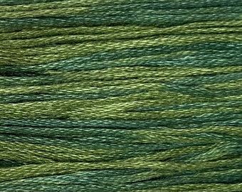 Weeks Dye Works, Bayberry, WDW-2166, 5 YARD Skein, Hand Dyed Cotton, Embroidery Floss, Counted Cross Stitch, Embroidery, PunchNeedle