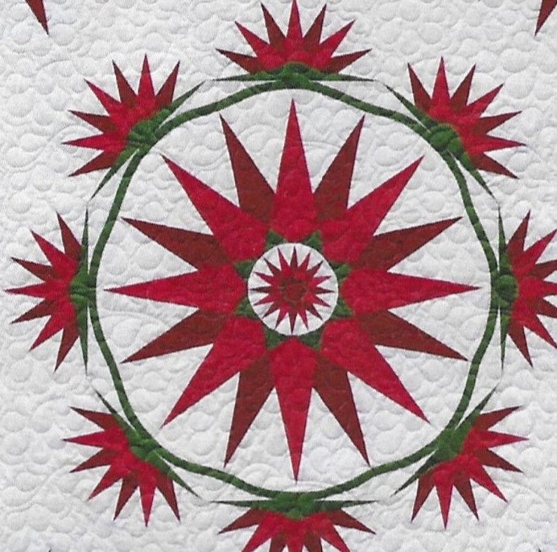 Quilt Pattern Robin Ruth Design Strip Pieced Quilt Vintage Series Flower and Vine Mariner/'s Compass PATTERN ONLY Skinny Compass Ruler