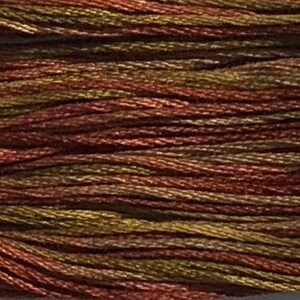 May include: Close-up of a skein of embroidery floss. The floss is a blend of colors, including shades of brown, gold, and rust. The threads are tightly wound together, creating a textured appearance. The floss is likely used for cross-stitch, embroidery, or other needlework projects.