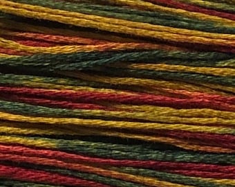 Weeks Dye Works, Noel, WDW-4105, 5 YARD Skein, Hand Dyed Cotton, Embroidery Floss, Cross Stitch, Hand Embroidery, Punch Needle