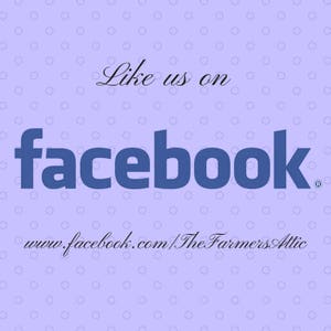 Pu&ograve; includere: Uno sfondo viola chiaro con un motivo di piccoli cerchi bianchi. Il testo "Like us on facebook" &egrave; scritto in corsivo nero sopra il grande logo blu "facebook". Sotto il logo c'&egrave; l'indirizzo del sito web www.facebook.com/TheFarmersAttic.