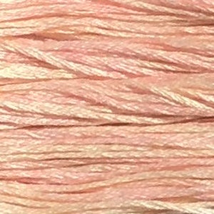 Weeks Dye Works, Cherub, WDW-1134, 5 YARD Skein, Hand Dyed Cotton, Embroidery Floss, Counted Cross Stitch, Embroidery, Over Dyed Cotton