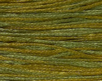 Weeks Dye Works, Pistachio, WDW-2206, 5 YARD Skein, Hand Dyed Cotton, Embroidery Floss, Counted Cross Stitch, Hand Embroidery, PunchNeedle