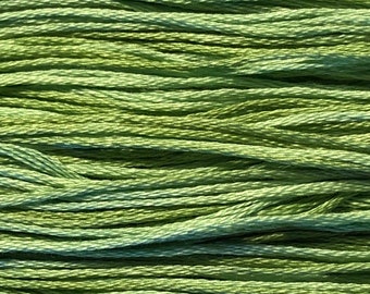 Weeks Dye Works, Meadow, WDW-2176, 5 YARD Skein, Hand Dyed Cotton, Embroidery Floss, Counted Cross Stitch, Embroidery, PunchNeedle