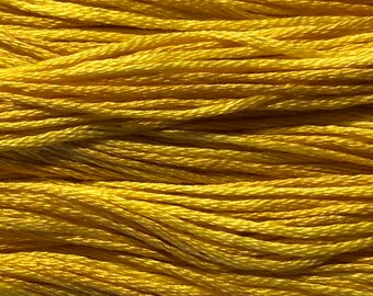 Weeks Dye Works, Squash, WDW-2224, 5 YARD Skein, Hand Dyed Cotton, Embroidery Floss, Counted Cross Stitch, Embroidery, PunchNeedle