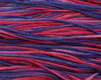 Weeks Dye Works, Jealousy, WDW-2335, 5 YARD Skein, Cotton Floss, Embroidery Floss, Counted Cross Stitch, Hand Embroidery, PunchNeedle