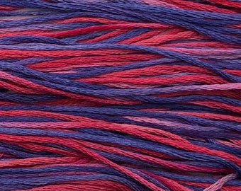 Weeks Dye Works, Jealousy, WDW-2335, 5 YARD Skein, Cotton Floss, Embroidery Floss, Counted Cross Stitch, Hand Embroidery, PunchNeedle