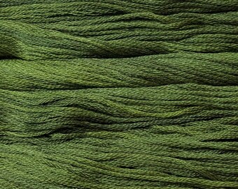 Gentle Art, Sampler Threads, Green with Envy, #0196, 10 YARD Skein, Embroidery Floss, Counted Cross Stitch, Hand Embroidery Thread