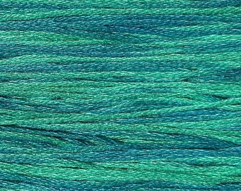 Weeks Dye Works, Caribbean, WDW-2136, 5 YARD Skein, Hand Dyed Cotton, Embroidery Floss, Counted Cross Stitch, Embroidery, PunchNeedle
