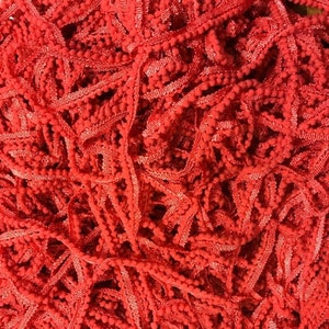 Pom Pom Trim, Brickhouse, Lady Dot Creates, Pom Poms, Hand Dyed Pom Poms, Polyester Poms, Sewing Notion, Sewing Accessory, Sewing Trim