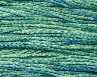 Weeks Dye Works, Island Breeze, WDW-2133, 5 YARD Skein, Cotton Floss, Embroidery Floss, Counted Cross Stitch, Hand Embroidery, PunchNeedle