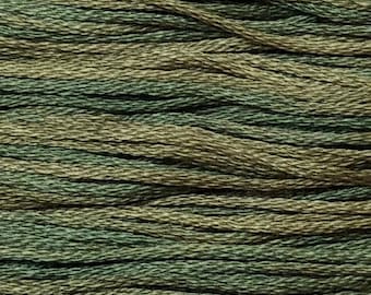 Weeks Dye Works, Kudzu, WDW-2200, 5 YARD Skein, Hand Dyed Cotton, Embroidery Floss, Counted Cross Stitch, Hand Embroidery, PunchNeedle