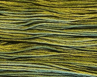 Weeks Dye Works, Guacamole, WDW-1193, 5 YARD Skein, Cotton Floss, Embroidery Floss, Counted Cross Stitch, Hand Embroidery, Punch Needle