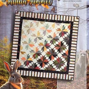 Quilt PATTERNS, Indian Summer, Foundation Paper Piecing, Wall Hangings, Judy Niemeyer Quilting, Quiltworx, PATTERN ONLY