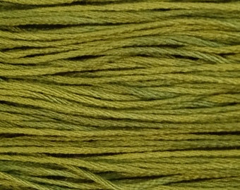 Weeks Dye Works, Apple Pucker, WDW-2202a, 5 YARD Skein, Hand Dyed Cotton, Embroidery Floss, Counted Cross Stitch, Embroidery, PunchNeedle