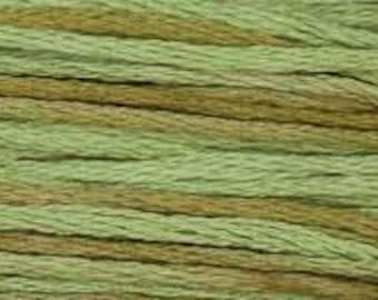 Weeks Dye Works, Celadon, WDW-1261, 5 YARD Skein, Hand Dyed Cotton, Embroidery Floss, Counted Cross Stitch, Embroidery, PunchNeedle