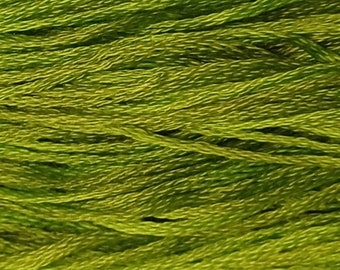 Weeks Dye Works, Paris Green, WDW-2204a, 5 YARD Skein, Hand Dyed Cotton, Embroidery Floss, Cross Stitch, Hand Embroidery, Punch Needle