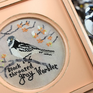 May include: A framed cross-stitch embroidery of a black-throated gray warbler perched on a branch with white and orange flowers. The text "Black-throated Gray Warbler" is stitched below the bird.