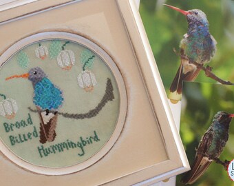 Counted Cross Stitch Pattern, Broad Billed Hummingbird, Bird Crush Club, Pillow Ornament, Lindy Stitches, PATTERN ONLY