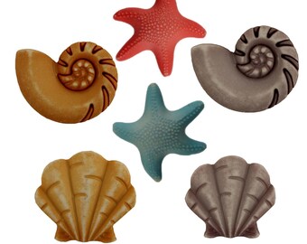 Beachcomber, Fun in the Sun, 3D Collection, Summer Beach Decor, Sewing Embellishment, Seashells, Starfish, Buttons Galore & More, FN101