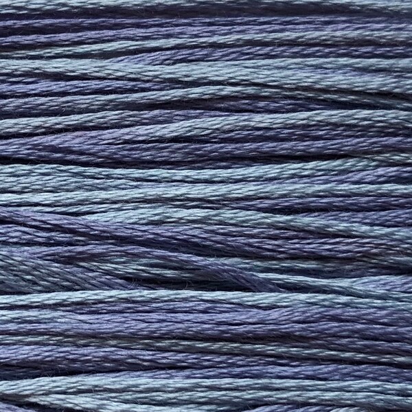 Weeks Dye Works, Dutch Iris, WDW-2342, 5 YARD Skein, Hand Dyed Cotton, Embroidery Floss, Counted Cross Stitch, Embroidery, PunchNeedle